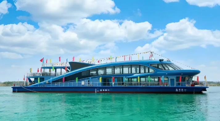 蓝海豚26号